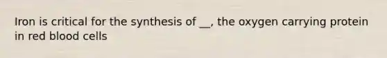 Iron is critical for the synthesis of __, the oxygen carrying protein in red blood cells