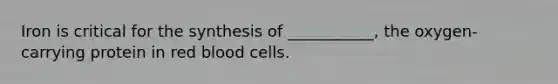 Iron is critical for the synthesis of ___________, the oxygen-carrying protein in red blood cells.