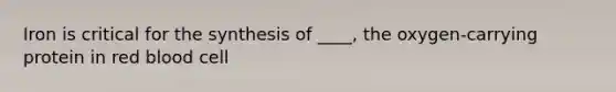 Iron is critical for the synthesis of ____, the oxygen-carrying protein in red blood cell