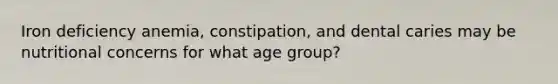 Iron deficiency anemia, constipation, and dental caries may be nutritional concerns for what age group?