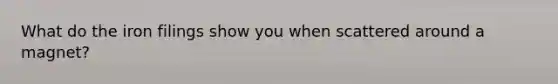 What do the iron filings show you when scattered around a magnet?