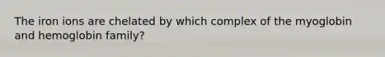 The iron ions are chelated by which complex of the myoglobin and hemoglobin family?