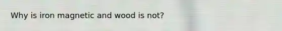 Why is iron magnetic and wood is not?