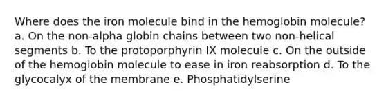 Where does the iron molecule bind in the hemoglobin molecule? a. On the non-alpha globin chains between two non-helical segments b. To the protoporphyrin IX molecule c. On the outside of the hemoglobin molecule to ease in iron reabsorption d. To the glycocalyx of the membrane e. Phosphatidylserine