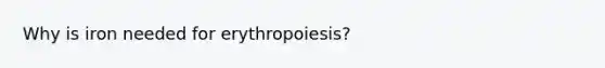 Why is iron needed for erythropoiesis?