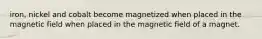 iron, nickel and cobalt become magnetized when placed in the magnetic field when placed in the magnetic field of a magnet.