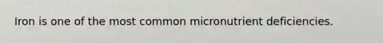 Iron is one of the most common micronutrient deficiencies.