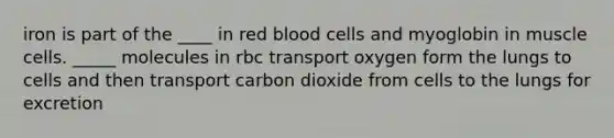 iron is part of the ____ in red blood cells and myoglobin in muscle cells. _____ molecules in rbc transport oxygen form the lungs to cells and then transport carbon dioxide from cells to the lungs for excretion