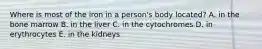 Where is most of the iron in a person's body located? A. in the bone marrow B. in the liver C. in the cytochromes D. in erythrocytes E. in the kidneys