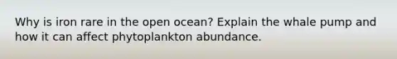 Why is iron rare in the open ocean? Explain the whale pump and how it can affect phytoplankton abundance.