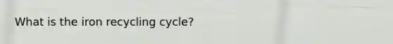 What is the iron recycling cycle?