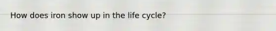 How does iron show up in the life cycle?