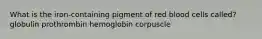 What is the iron-containing pigment of red blood cells called? globulin prothrombin hemoglobin corpuscle