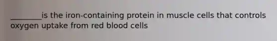 ________is the iron-containing protein in muscle cells that controls oxygen uptake from red blood cells