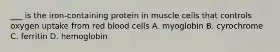 ___ is the iron-containing protein in muscle cells that controls oxygen uptake from red blood cells A. myoglobin B. cyrochrome C. ferritin D. hemoglobin