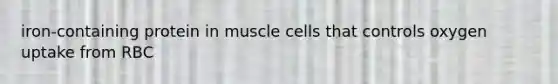 iron-containing protein in muscle cells that controls oxygen uptake from RBC