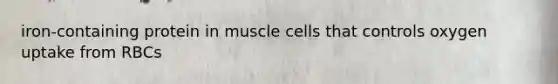 iron-containing protein in muscle cells that controls oxygen uptake from RBCs