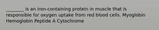 ________ is an iron-containing protein in muscle that is responsible for oxygen uptake from red blood cells. Myoglobin Hemoglobin Peptide A Cytochrome