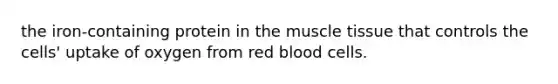 the iron-containing protein in the muscle tissue that controls the cells' uptake of oxygen from red blood cells.