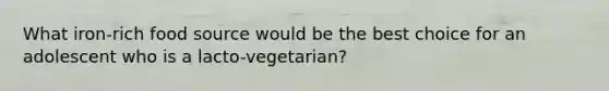 What iron-rich food source would be the best choice for an adolescent who is a lacto-vegetarian?