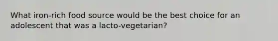 What iron-rich food source would be the best choice for an adolescent that was a lacto-vegetarian?