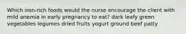 Which iron-rich foods would the nurse encourage the client with mild anemia in early pregnancy to eat? dark leafy green vegetables legumes dried fruits yogurt ground beef patty