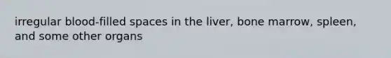 irregular blood-filled spaces in the liver, bone marrow, spleen, and some other organs