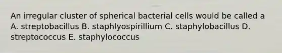 An irregular cluster of spherical bacterial cells would be called a A. streptobacillus B. staphlyospirillium C. staphylobacillus D. streptococcus E. staphylococcus