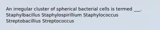 An irregular cluster of spherical bacterial cells is termed ___. Staphylbacillus Staphylospirillium Staphylococcus Streptobacillius Streptococcus