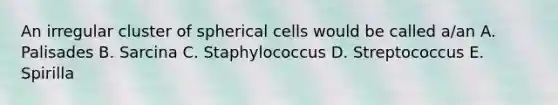 An irregular cluster of spherical cells would be called a/an A. Palisades B. Sarcina C. Staphylococcus D. Streptococcus E. Spirilla