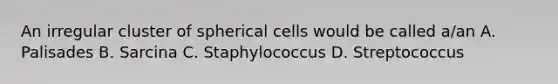 An irregular cluster of spherical cells would be called a/an A. Palisades B. Sarcina C. Staphylococcus D. Streptococcus