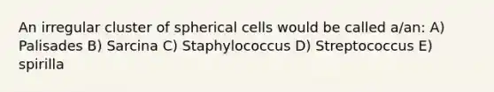 An irregular cluster of spherical cells would be called a/an: A) Palisades B) Sarcina C) Staphylococcus D) Streptococcus E) spirilla