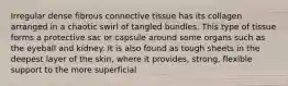 Irregular dense fibrous connective tissue has its collagen arranged in a chaotic swirl of tangled bundles. This type of tissue forms a protective sac or capsule around some organs such as the eyeball and kidney. It is also found as tough sheets in the deepest layer of the skin, where it provides, strong, flexible support to the more superficial