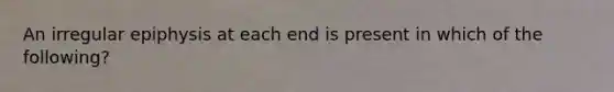 An irregular epiphysis at each end is present in which of the following?