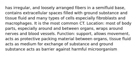 has irregular, and loosely arranged fibers in a semifluid base, contains extracellular spaces filled with ground substance and tissue fluid and many types of cells especially fibroblasts and macrophages. It is the most common CT. Location: most of body parts, especially around and between organs, wraps around nerves and <a href='https://www.questionai.com/knowledge/kZJ3mNKN7P-blood-vessels' class='anchor-knowledge'>blood vessels</a>. Function: support, allows movement, acts as protective packing material between organs, tissue fluid acts as medium for exchange of substance and ground substance acts as barrier against harmful microorganism