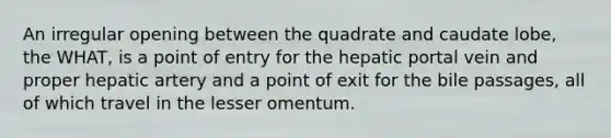 An irregular opening between the quadrate and caudate lobe, the WHAT, is a point of entry for the hepatic portal vein and proper hepatic artery and a point of exit for the bile passages, all of which travel in the lesser omentum.