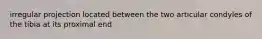 irregular projection located between the two articular condyles of the tibia at its proximal end