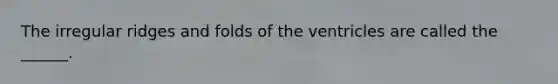 The irregular ridges and folds of the ventricles are called the ______.