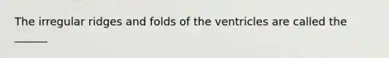 The irregular ridges and folds of the ventricles are called the ______