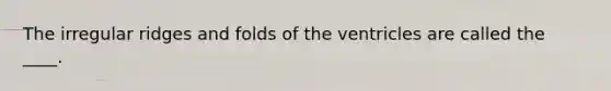 The irregular ridges and folds of the ventricles are called the ____.