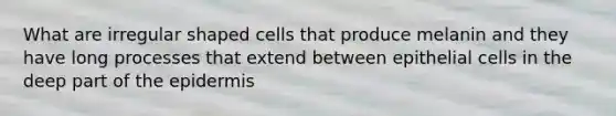 What are irregular shaped cells that produce melanin and they have long processes that extend between epithelial cells in the deep part of the epidermis