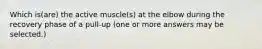 Which is(are) the active muscle(s) at the elbow during the recovery phase of a pull-up (one or more answers may be selected.)