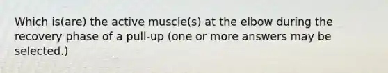 Which is(are) the active muscle(s) at the elbow during the recovery phase of a pull-up (one or more answers may be selected.)