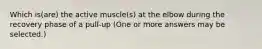 Which is(are) the active muscle(s) at the elbow during the recovery phase of a pull-up (One or more answers may be selected.)