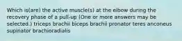 Which is(are) the active muscle(s) at the elbow during the recovery phase of a pull-up (One or more answers may be selected.) triceps brachii biceps brachii pronator teres anconeus supinator brachioradialis