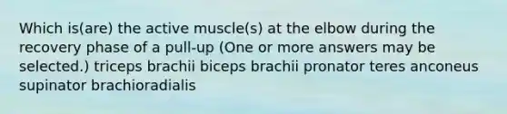 Which is(are) the active muscle(s) at the elbow during the recovery phase of a pull-up (One or more answers may be selected.) triceps brachii biceps brachii pronator teres anconeus supinator brachioradialis