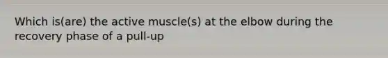 Which is(are) the active muscle(s) at the elbow during the recovery phase of a pull-up