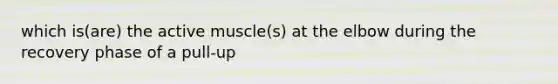 which is(are) the active muscle(s) at the elbow during the recovery phase of a pull-up