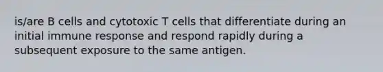 is/are B cells and cytotoxic T cells that differentiate during an initial immune response and respond rapidly during a subsequent exposure to the same antigen.