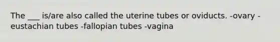 The ___ is/are also called the uterine tubes or oviducts. -ovary -eustachian tubes -fallopian tubes -vagina